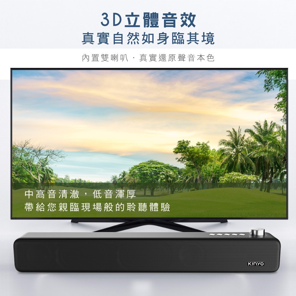 【現貨附發票】KINYO 耐嘉 藍牙音箱 藍牙讀卡喇叭 藍牙喇叭 1入 BTS-735-細節圖3