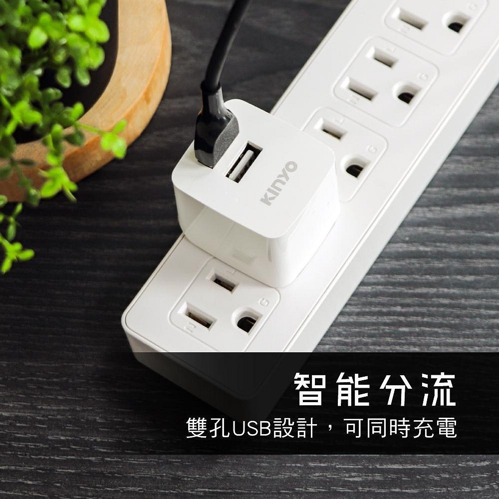 【現貨附發票】KINYO 耐嘉 雙USB急速充電器 USB充電器 1入 CUH-220-細節圖4