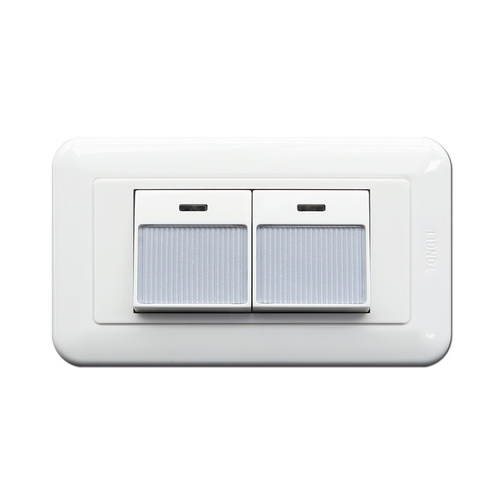 【現貨附發票】雙日 朝日電工 可舒目夜光雙開關蓋板組 竹紋特大型夜光雙開關組 1入 P-TL-2SS / Q-2SS-細節圖3