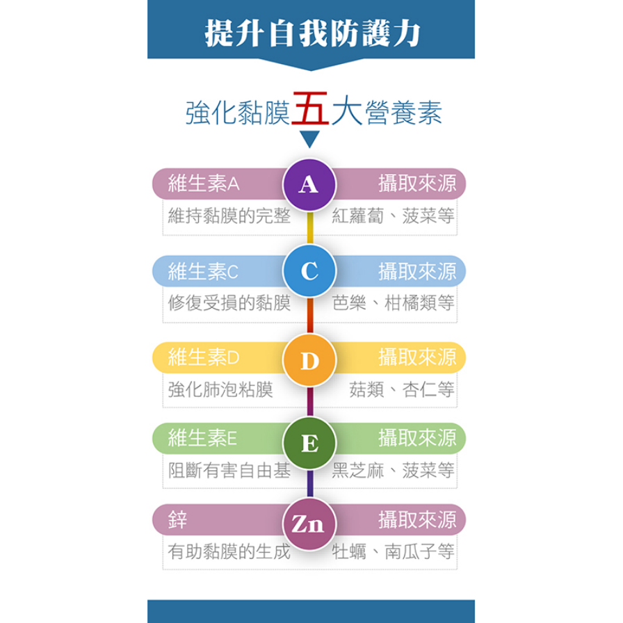 CDE‧Zn 維生素CDE+鋅複方膠囊 10粒/盒-細節圖3
