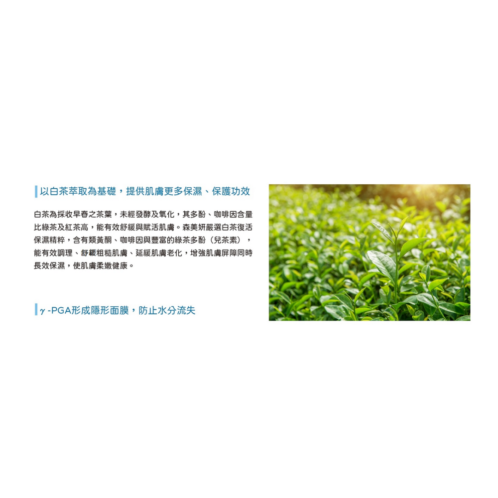 東森自然美-白茶賦活保濕素顏霜SPF50-細節圖5