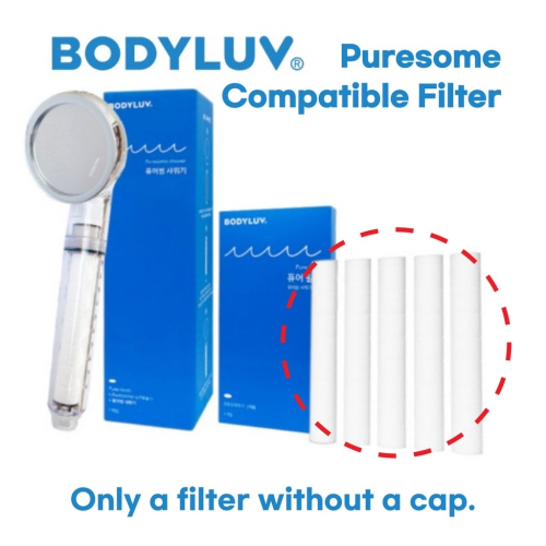 BODYLUV 副廠 Puresome/Dr.Piel 淋浴頭兼容過濾器替換裝 10入