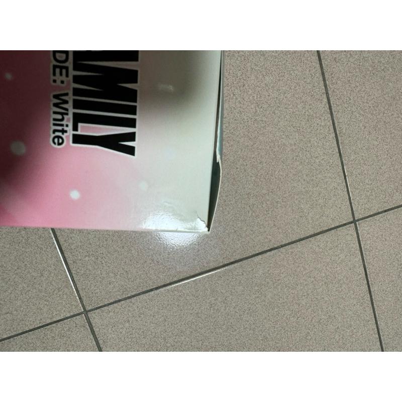 【艾瑞克】日版 一番賞 全新現貨 SPY x FAMILY間諜家家酒 劇場版 CODE: White A賞 安妮亞 彭德-細節圖3