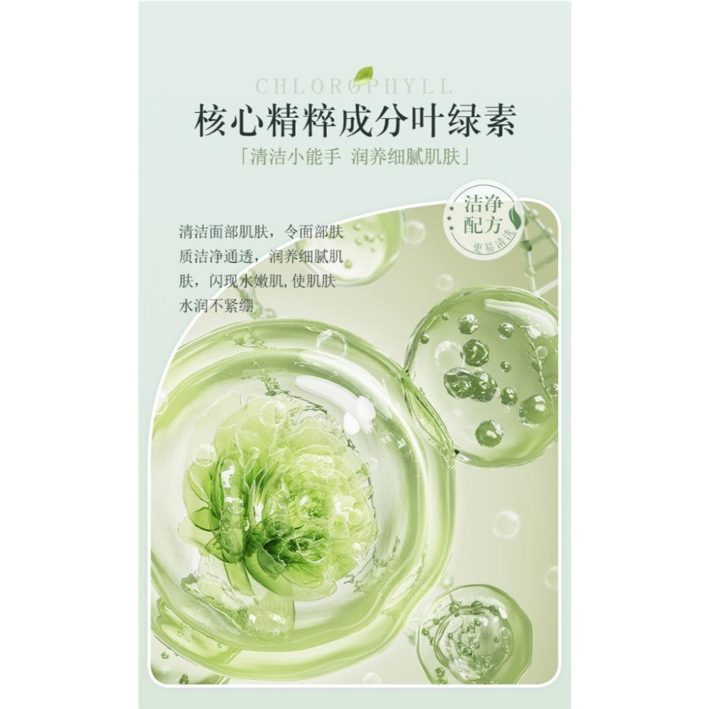 台灣現貨~葉綠素氨基酸潔面泥 葉綠素氨基酸洗面乳 積雪草氨基酸洗面泥 潔面乳 保濕滋潤 清潔控油-細節圖9