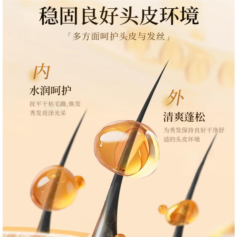 @台灣現貨⭐人參黑靈芝洗髮精 人參控油洗髮露 人參洗髮精 滋養毛髮 強健髮根 清潔頭皮-細節圖6