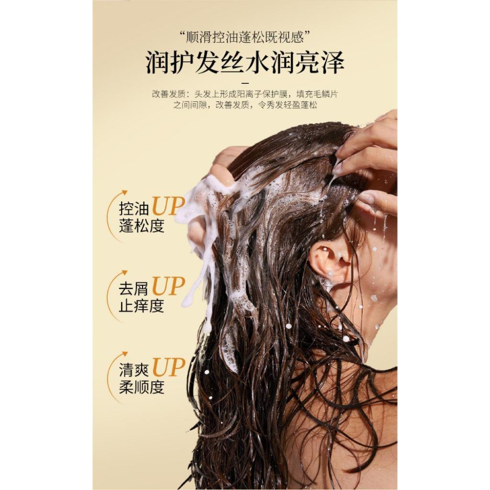 @台灣現貨⭐人參黑靈芝洗髮精 人參控油洗髮露 人參洗髮精 滋養毛髮 強健髮根 清潔頭皮-細節圖7