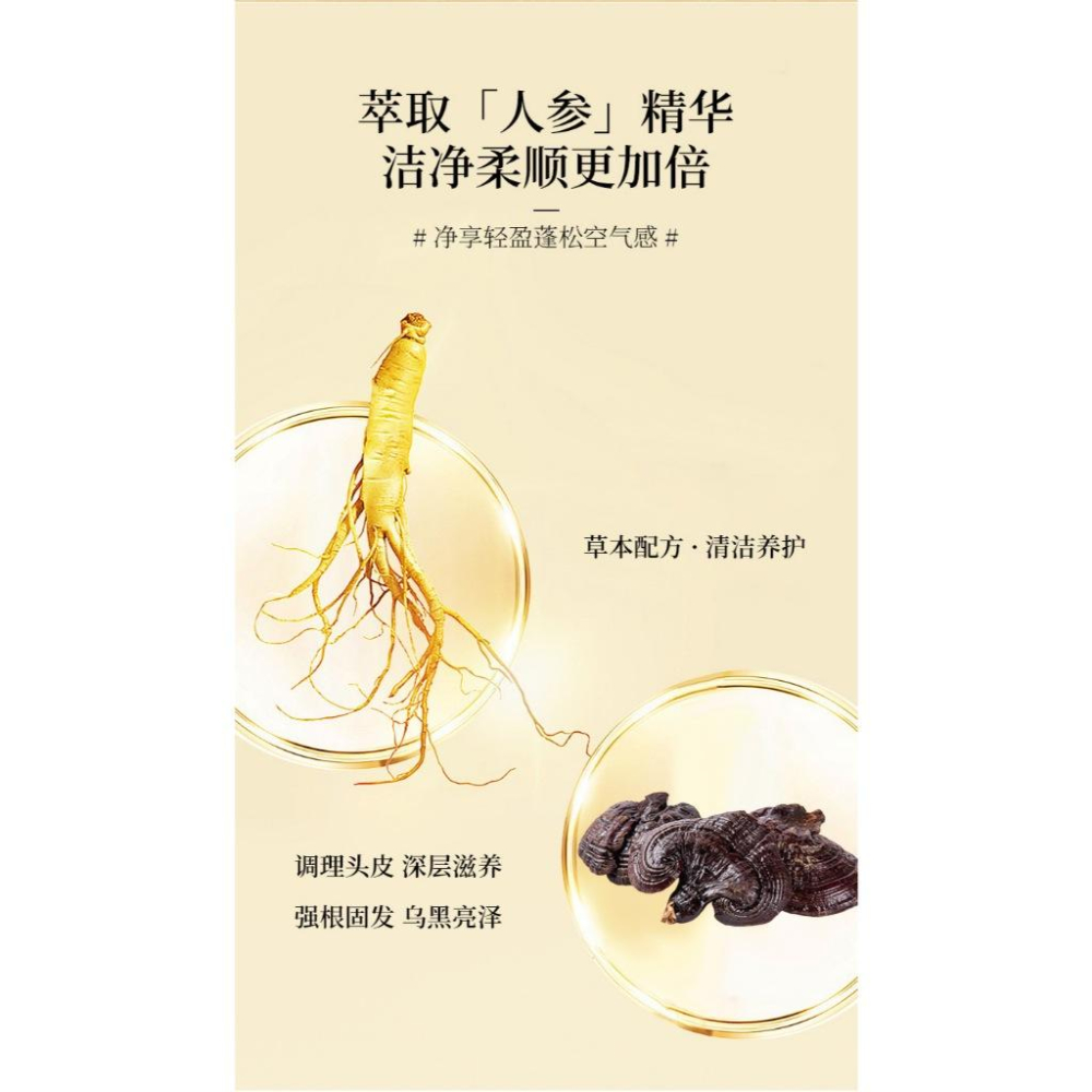@台灣現貨⭐人參黑靈芝洗髮精 人參控油洗髮露 人參洗髮精 滋養毛髮 強健髮根 清潔頭皮-細節圖8