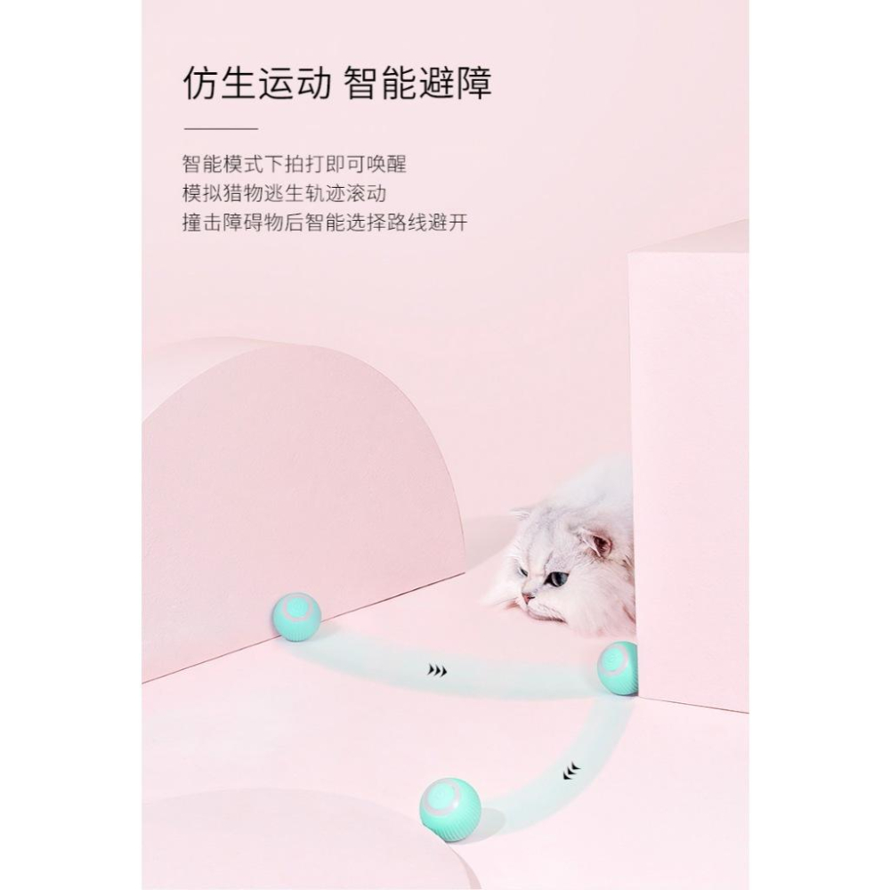 台灣現貨 逗貓神器 引力滾滾球 靜音滾動 智能逗貓球 USB充電 自動逗貓球   自嗨解悶-細節圖6