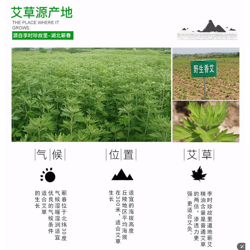 台灣現貨~藍莓葉黃素眼貼 艾草眼貼 冷敷眼膜 冰涼眼貼 草本配方 眼膜貼 眼膜 冷敷眼貼 緩解眼疲勞-細節圖7