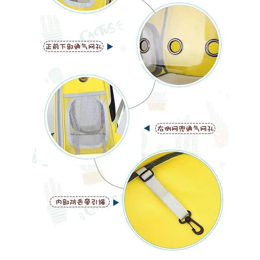 台灣現貨寵物太空包 全透明太空包 太空艙寵物背包  透氣寵物包 太空外出包 寵物提籠 雙肩貓狗背包-細節圖4