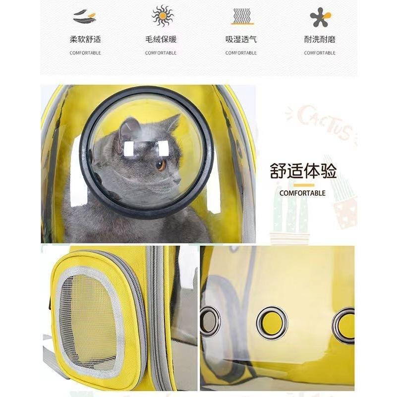台灣現貨寵物太空包 全透明太空包 太空艙寵物背包  透氣寵物包 太空外出包 寵物提籠 雙肩貓狗背包-細節圖5