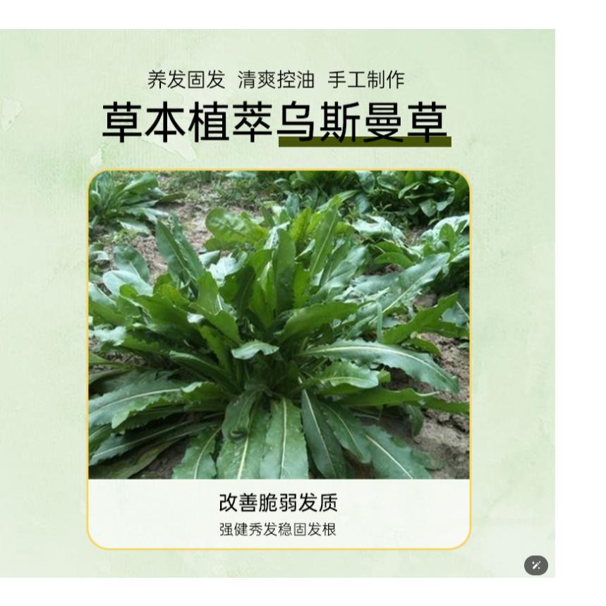 @〖台灣現貨〗新疆烏斯曼草洗髮皂 烏斯瑪草洗頭皂 烏斯曼 防脫髮 控油 洗頭餅 洗髮餅 深層 滋養髮根-細節圖4