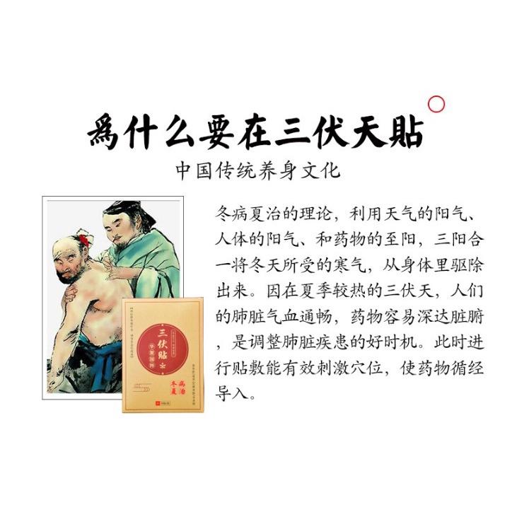 三伏貼 三九貼 冬治夏病 盒裝30貼 春養肝 夏養心 秋養肺 冬養腎 艾草 艾葉 穴位貼-細節圖5
