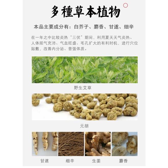 三伏貼 三九貼 冬治夏病 盒裝30貼 春養肝 夏養心 秋養肺 冬養腎 艾草 艾葉 穴位貼-細節圖6