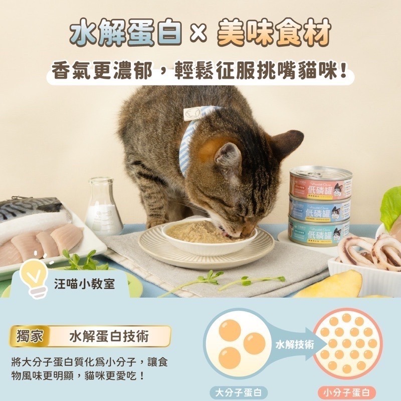 「玩水養蝦人」汪喵星球 貓咪低磷低蛋白主食罐 低磷罐 主食罐 低磷主食罐 貓罐 貓主食 貓罐頭 幕斯罐 無膠罐 貓飼料-細節圖6