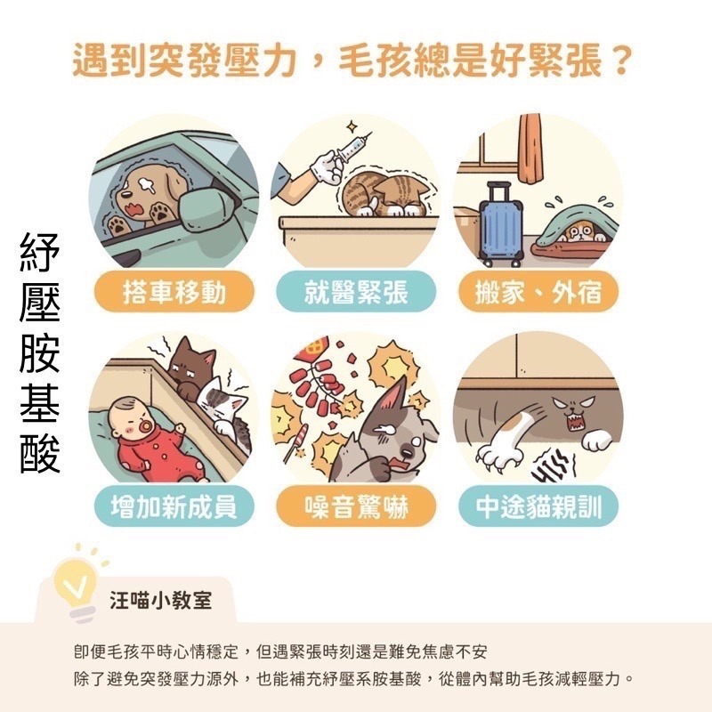 「玩水養蝦人」汪喵星球 隨手包 腸胃益生菌 皮膚益生菌 軟便剋星 紓壓胺基酸 寵物保健食品 腸胃專用 皮膚敏感-細節圖6