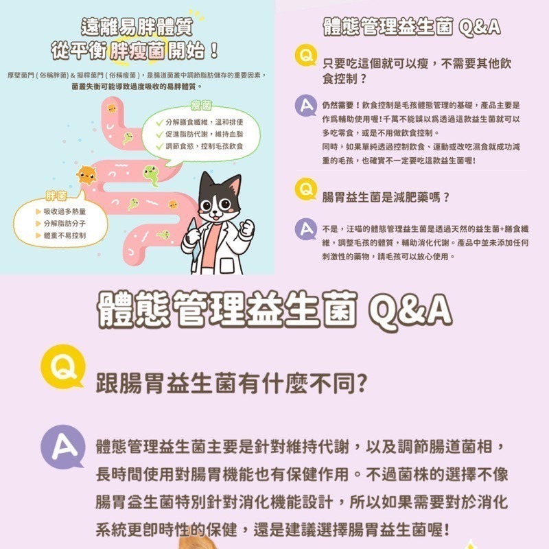 「玩水養蝦人」汪喵星球 隨手包 腸胃益生菌 皮膚益生菌 軟便剋星 紓壓胺基酸 寵物保健食品 腸胃專用 皮膚敏感-細節圖8