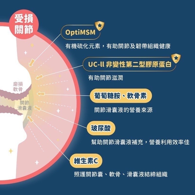 「玩水養蝦人」汪喵星球 保健食品 UC-ll犬貓關節保養粉  MSM犬貓關節保養粉 鈣粉 骨粉 鈣質 關節保養 保健食品-細節圖2