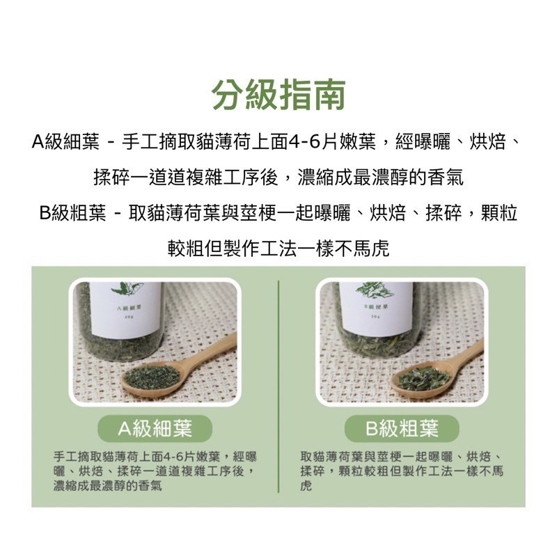 「玩水養蝦人」貓咪旺農場 100%天然原物料 A級貓薄荷細葉 貓薄荷 貓草 頂級 木天蓼 果實粉 蟲癭果實粉 蟲癭果實-細節圖2