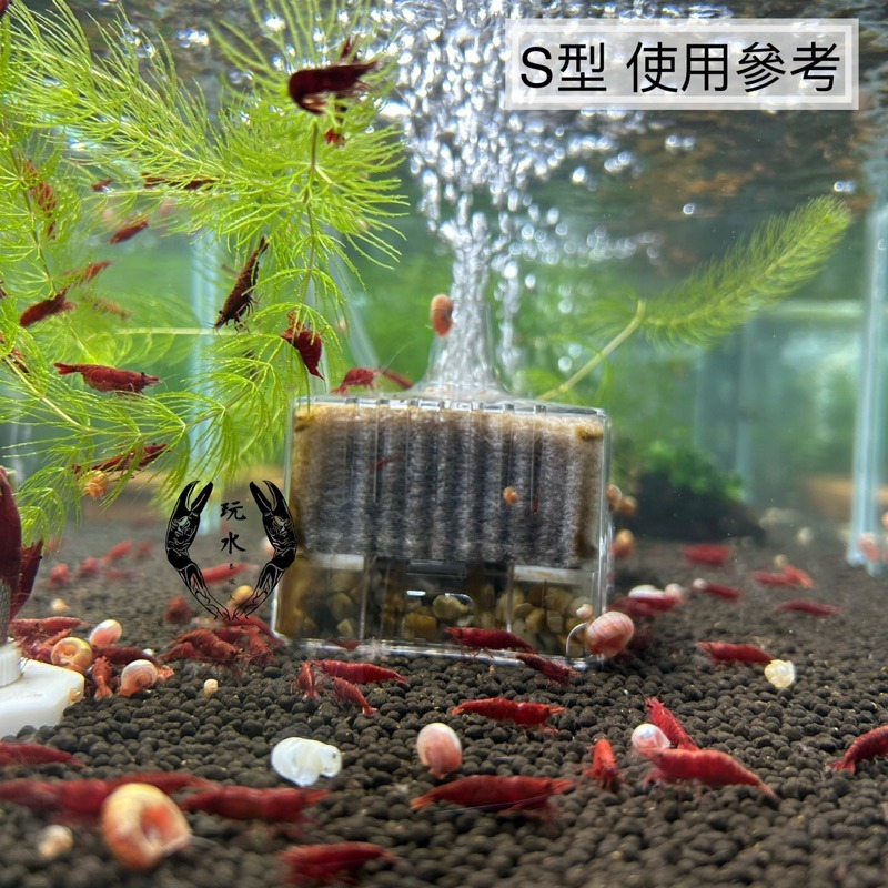 「玩水養蝦人」水中過濾器 GEX 日本五味 防啃水妖精 MINI/S/M型 打氣機 增氧 氣動式培菌 活性碳過濾棉-細節圖7