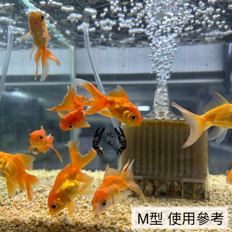 「玩水養蝦人」水中過濾器 GEX 日本五味 防啃水妖精 MINI/S/M型 打氣機 增氧 氣動式培菌 活性碳過濾棉-細節圖8