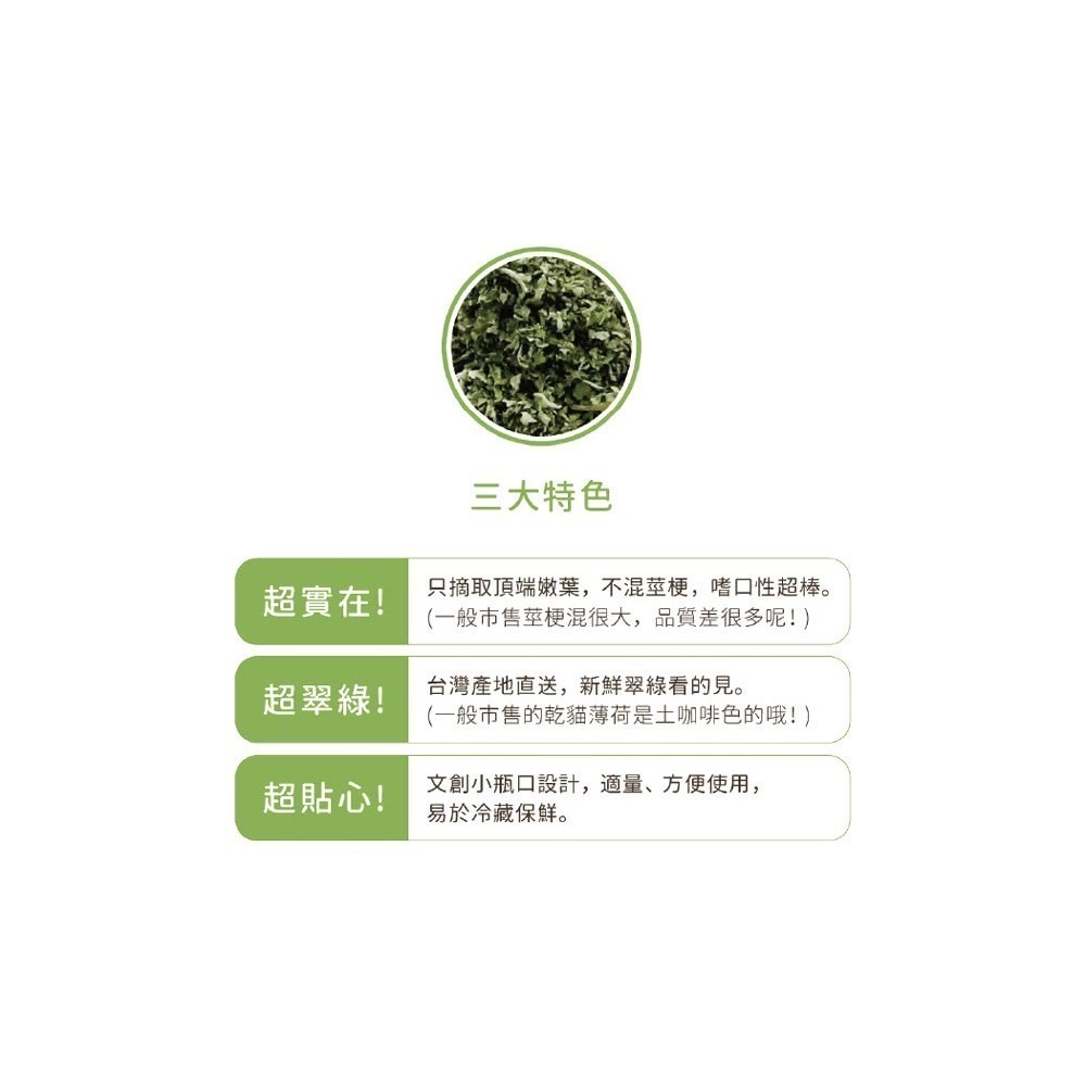 「玩水養蝦人」汪喵星球 貓薄荷 木天蓼 蟲癭果 貓草 貓薄荷棒棒 野生天然 咬咬潔牙 乾貓草 貓咪紓壓 磨牙玩具-細節圖3