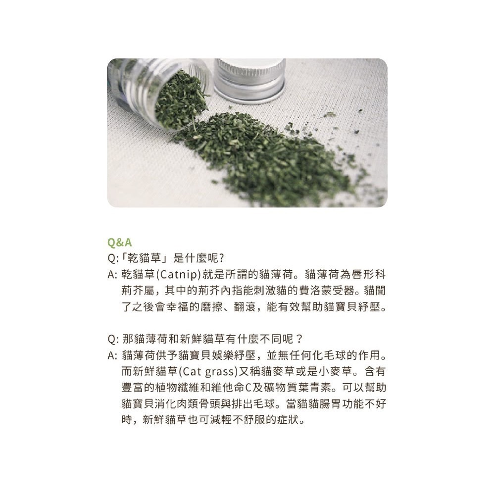 「玩水養蝦人」汪喵星球 貓薄荷 木天蓼 蟲癭果 貓草 貓薄荷棒棒 野生天然 咬咬潔牙 乾貓草 貓咪紓壓 磨牙玩具-細節圖4