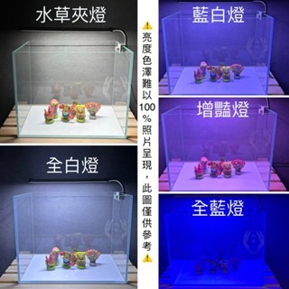 「玩水養蝦人」高之光 夾燈 ISTA 伊士達 LED 側夾燈 水草 藍白 增豔燈 全藍 魚缸燈 高亮度 水草燈 補燈-細節圖2