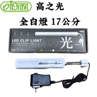 全白燈( 17公分 )