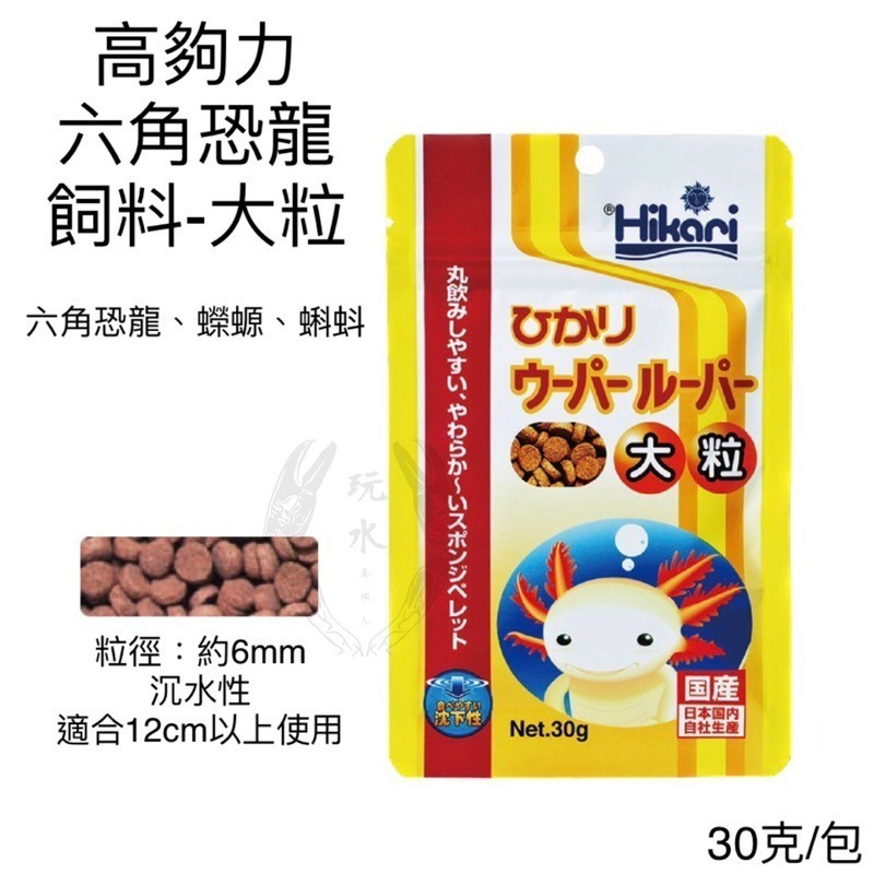 「玩水養蝦人」六角恐龍 飼料 大小粒 高夠力 Hikari 30g 沉水性 蠑螈 兩棲 巴西火龍 山椒魚 墨西哥鈍口螈-細節圖3