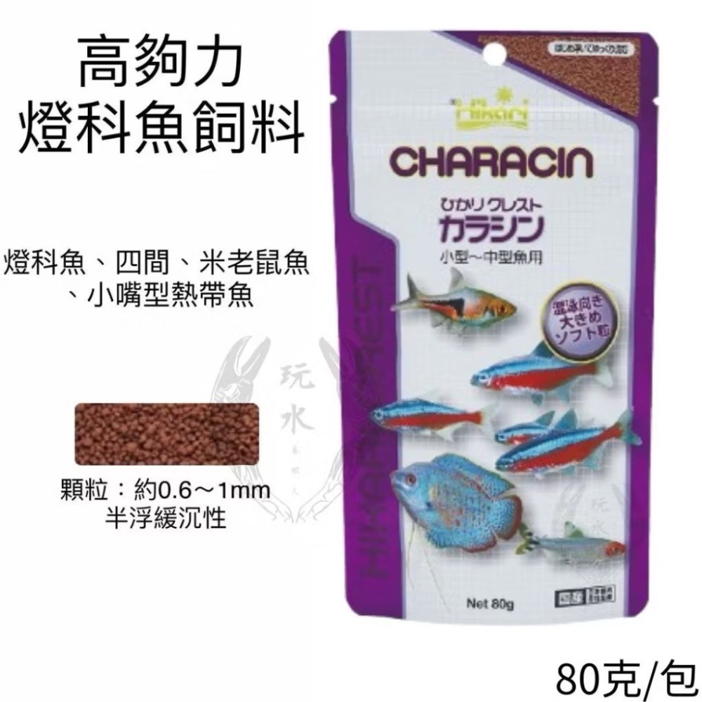 「玩水養蝦人」孔雀魚飼料 高夠力 Hikari 22g 半浮緩沉 小型魚 赤蟲 觀賞魚 孔雀魚 球魚 鬥魚 神仙 燈科魚-細節圖5