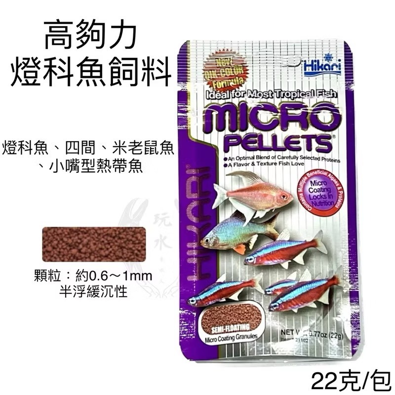 「玩水養蝦人」孔雀魚飼料 高夠力 Hikari 22g 半浮緩沉 小型魚 赤蟲 觀賞魚 孔雀魚 球魚 鬥魚 神仙 燈科魚-細節圖9