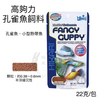 「玩水養蝦人」孔雀魚飼料 高夠力 Hikari 22g 半浮緩沉 小型魚 赤蟲 觀賞魚 孔雀魚 球魚 鬥魚 神仙 燈科魚-規格圖9