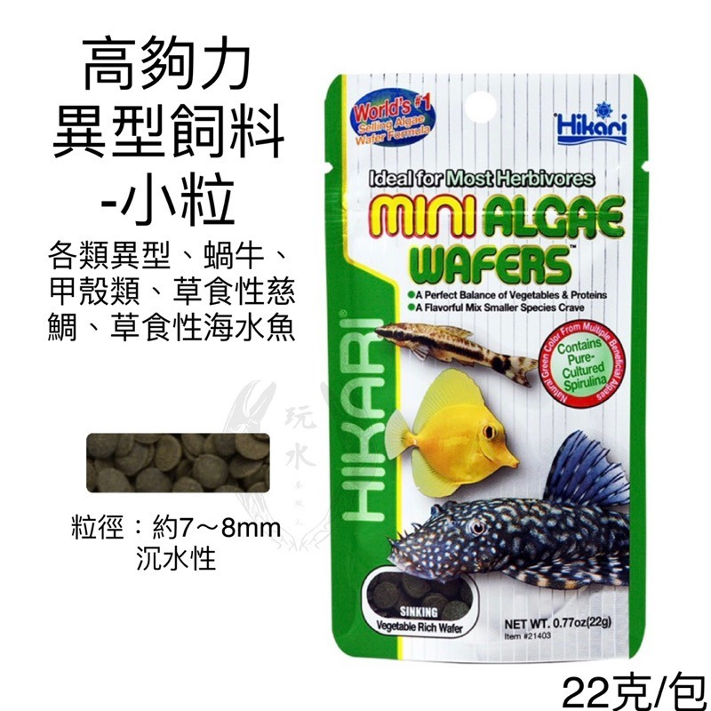 「玩水養蝦人」異型飼料 高夠力 Hikari 大/小粒 沈水 魚飼料 藻食性 觀賞魚飼料 甲殼類 螃蟹 草食性 水晶蝦-細節圖4