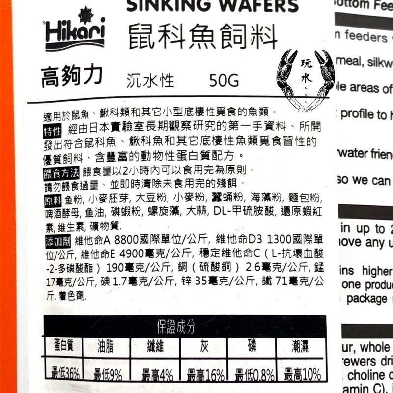 「玩水養蝦人」鼠科魚飼料 高夠力 Hikari 50g 沉水 底棲 異型 鯰魚 鼠魚 鰍科類 底棲性 飼料-細節圖2