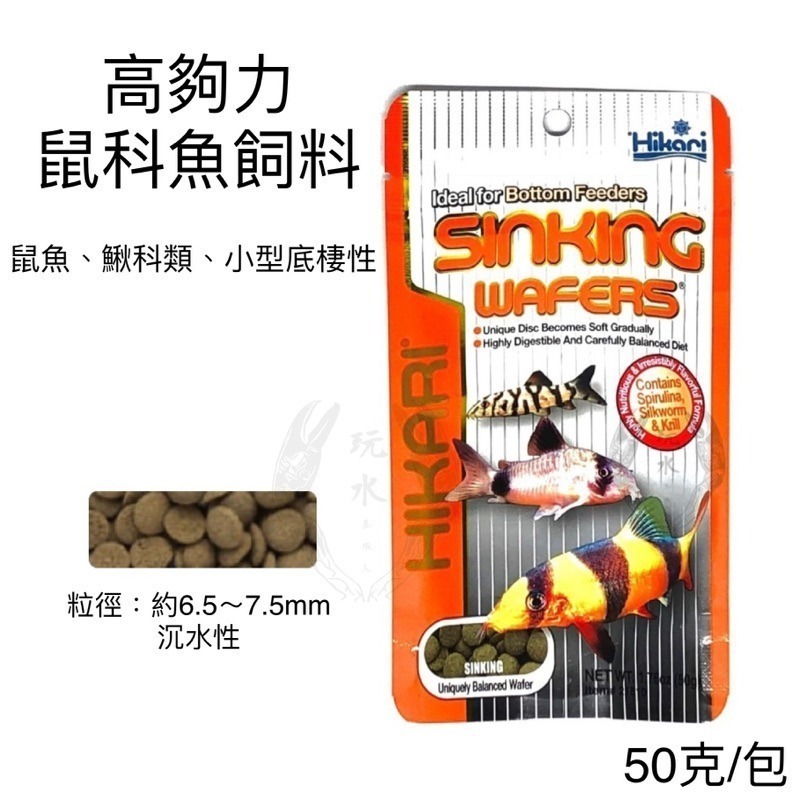 「玩水養蝦人」鼠科魚飼料 高夠力 Hikari 50g 沉水 底棲 異型 鯰魚 鼠魚 鰍科類 底棲性 飼料-細節圖3