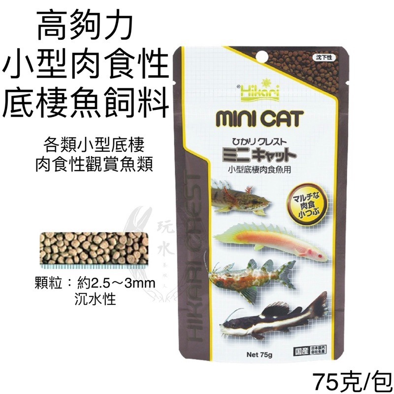 「玩水養蝦人」肉食性魚飼料 高夠力 Hikari 肉食性 魚飼料 龍魚 雷龍 恐龍 鴨嘴 活餌 大型魚 水族 底棲肉食-細節圖5