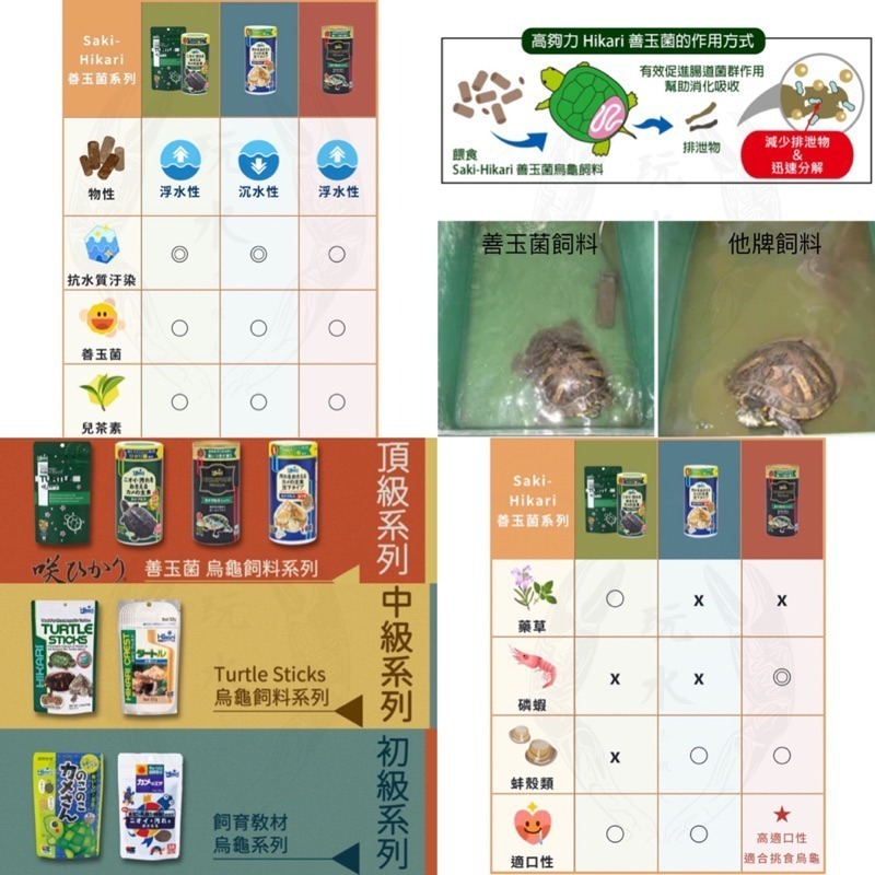 「玩水養蝦人」善玉菌烏龜飼料 高夠力 Hikari 善玉菌 烏龜 浮水 沉水 澤龜 水龜 兩棲 爬蟲 巴西龜 屋頂龜-細節圖2