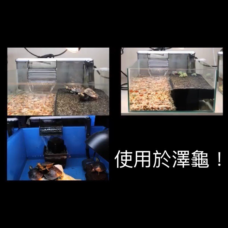 「玩水養蝦人」薄型外掛過濾 GEX 日本五味 過濾器 活性碳 過濾 除油膜 靜音外掛 流動飲水 水循環 烏龜 澤龜 培菌-細節圖2
