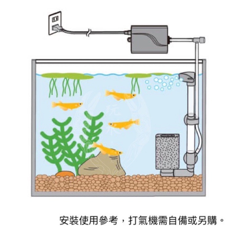 「玩水養蝦人」單管氣動過濾器 GEX 日本五味 水妖精 單管 水中過濾器 打氣增氧 氣動式培菌 氣舉過濾 打氣過濾-細節圖4
