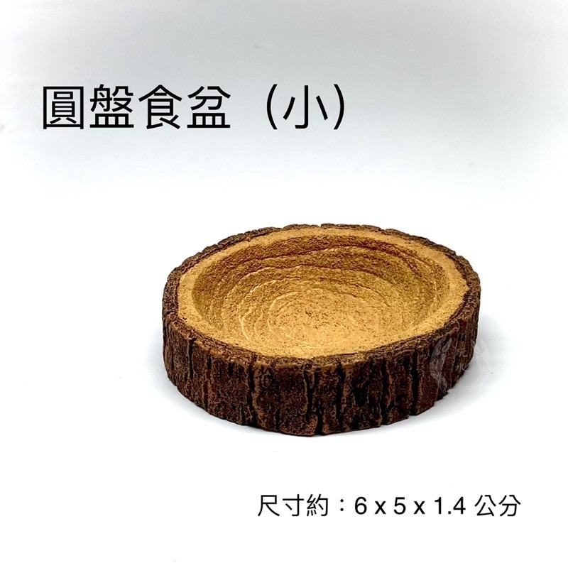 「玩水養蝦人」圓盤食盆 水盆 木輪造型 四款 飲水 餵食 守宮 角蛙 蜥蜴 烏龜 爬蟲 陸龜 象龜 守宮 蛇 飼料 水碗-細節圖2