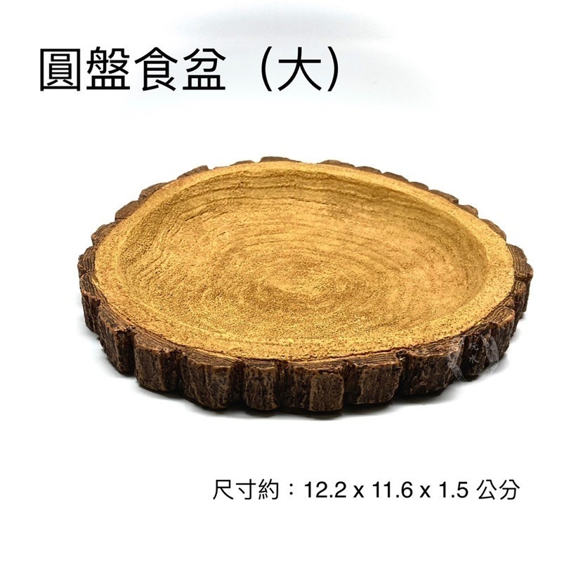 「玩水養蝦人」圓盤食盆 水盆 木輪造型 四款 飲水 餵食 守宮 角蛙 蜥蜴 烏龜 爬蟲 陸龜 象龜 守宮 蛇 飼料 水碗-細節圖4