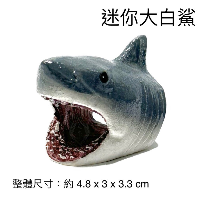 「玩水養蝦人」大白鯊 鯊魚 海洋生物 魚 魚缸擺設 水族造景 水草缸 擺飾 飾品 魚缸 水族用品 裝飾品 海水-細節圖6