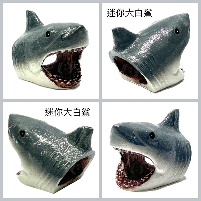 「玩水養蝦人」大白鯊 鯊魚 海洋生物 魚 魚缸擺設 水族造景 水草缸 擺飾 飾品 魚缸 水族用品 裝飾品 海水-細節圖7