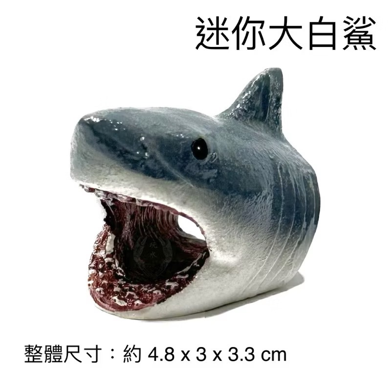 「玩水養蝦人」大白鯊 鯊魚 海洋生物 魚 魚缸擺設 水族造景 水草缸 擺飾 飾品 魚缸 水族用品 裝飾品 海水-規格圖9
