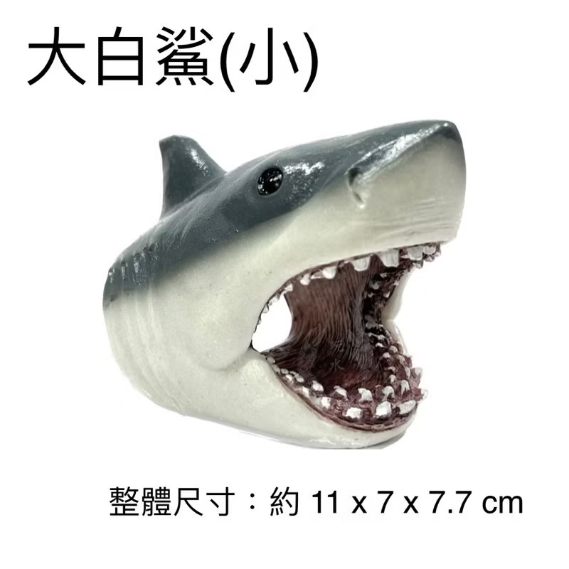 「玩水養蝦人」大白鯊 鯊魚 海洋生物 魚 魚缸擺設 水族造景 水草缸 擺飾 飾品 魚缸 水族用品 裝飾品 海水-規格圖9