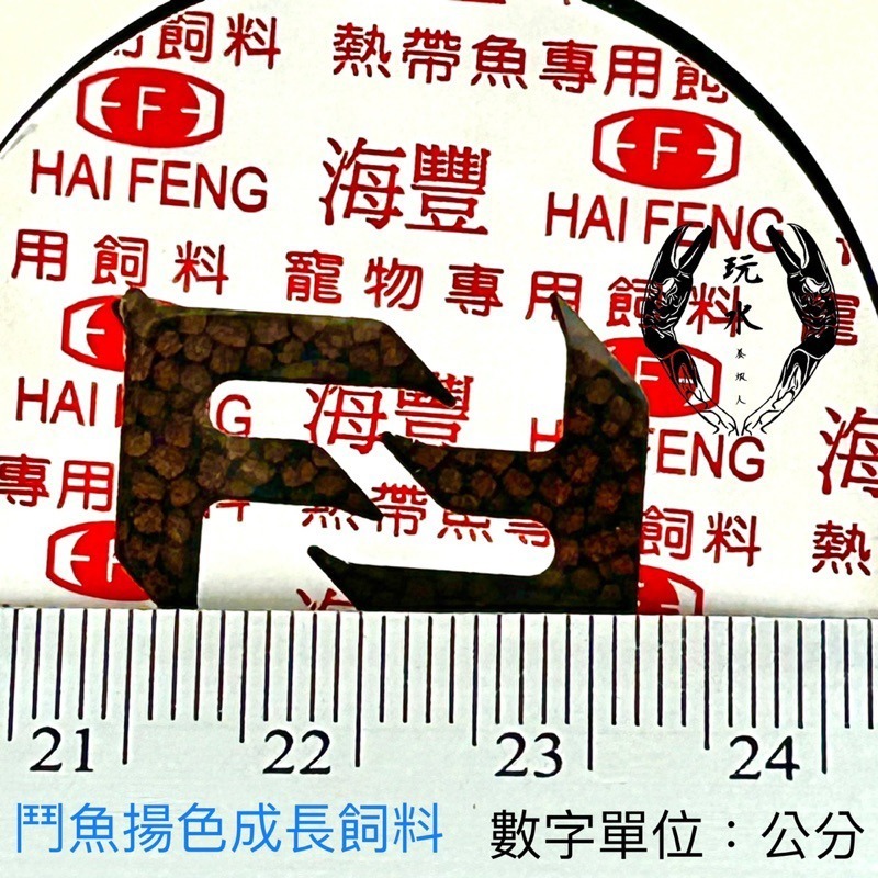 「玩水養蝦人」小型魚飼料 海豐 饗食 揚色飼料 小型魚 飼料 燈科魚 孔雀魚 球魚 鬥魚 觀賞魚 小魚 增豔 餌料-細節圖3