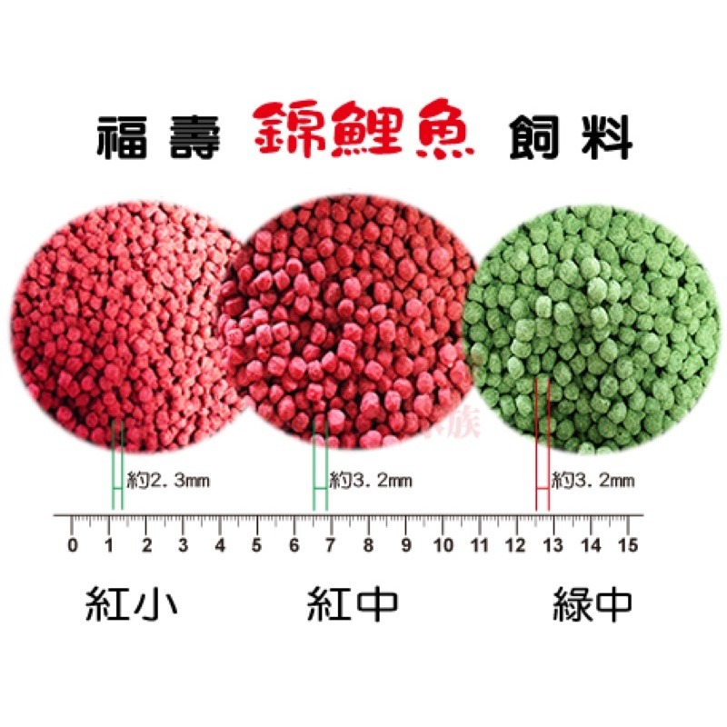 「玩水養蝦人」錦鯉魚飼料 福壽BEAUTY 1Kg 袋裝 飼料 福壽錦鯉 錦鯉飼料 餌料 揚色成長 公園餵魚 魚池-細節圖2