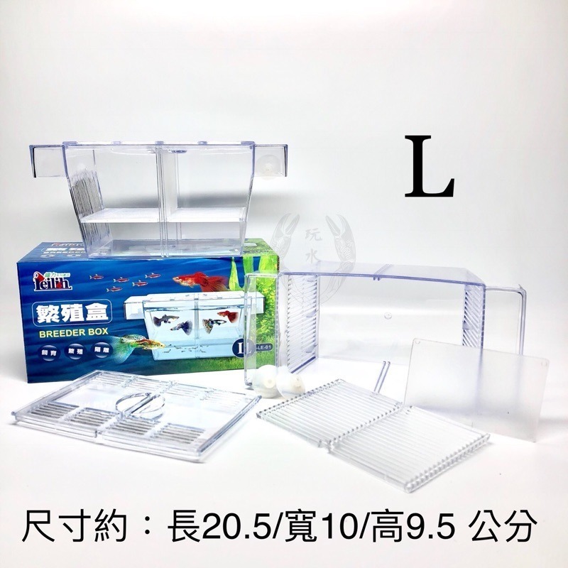 「玩水養蝦人」繁殖盒 S/L Leilih鐳力 飼育盒 隔離盒 繁殖箱 孔雀魚 螯蝦 異型 米蝦 水晶蝦 鬥魚 小魚-細節圖2