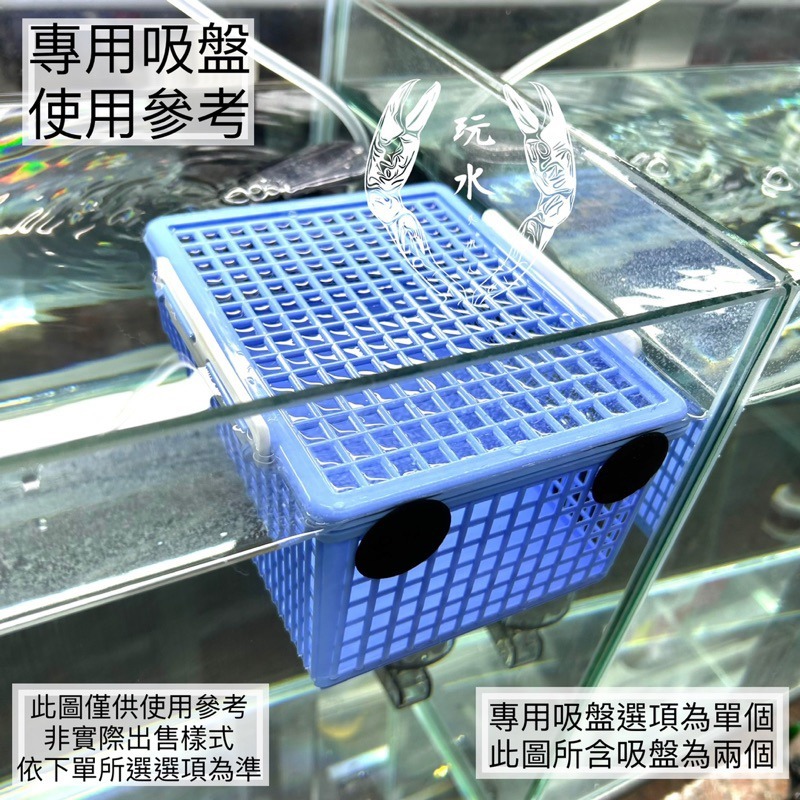 「玩水養蝦人」塑膠隔離盒 自浮式 螯蝦隔離 魚蝦隔離 塑膠籃 繁殖 隔離 飼育箱 隔離盒 產子盒 孔雀魚 螯蝦-細節圖5